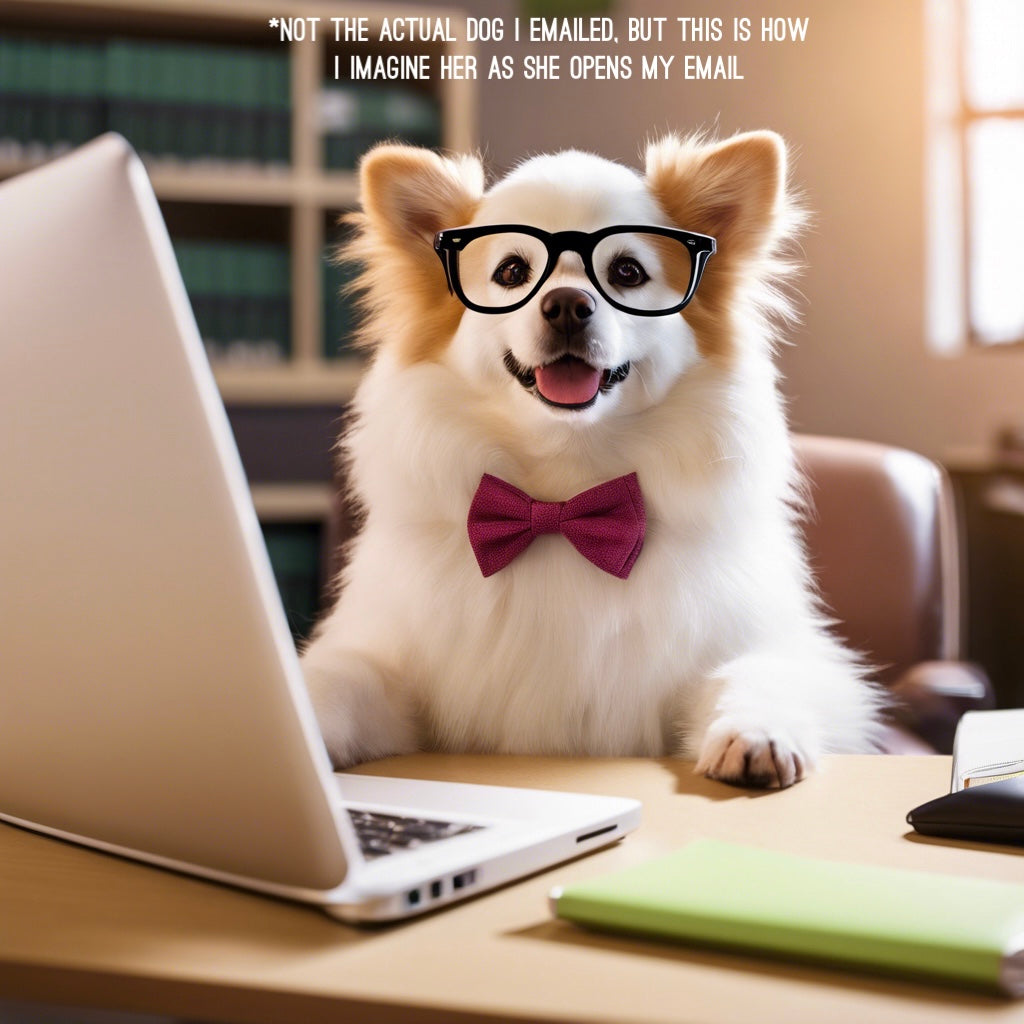 Image of a cute fluffy dog, wearing glasses and a bow tie, sitting in front of a laptop
